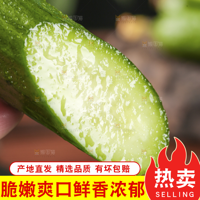 深底上的水果黄瓜