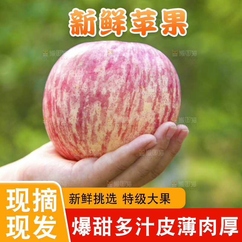 深底上的洛川红富士