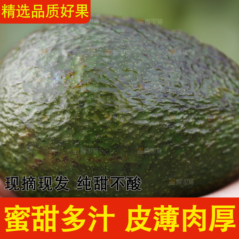 深底上的牛油果