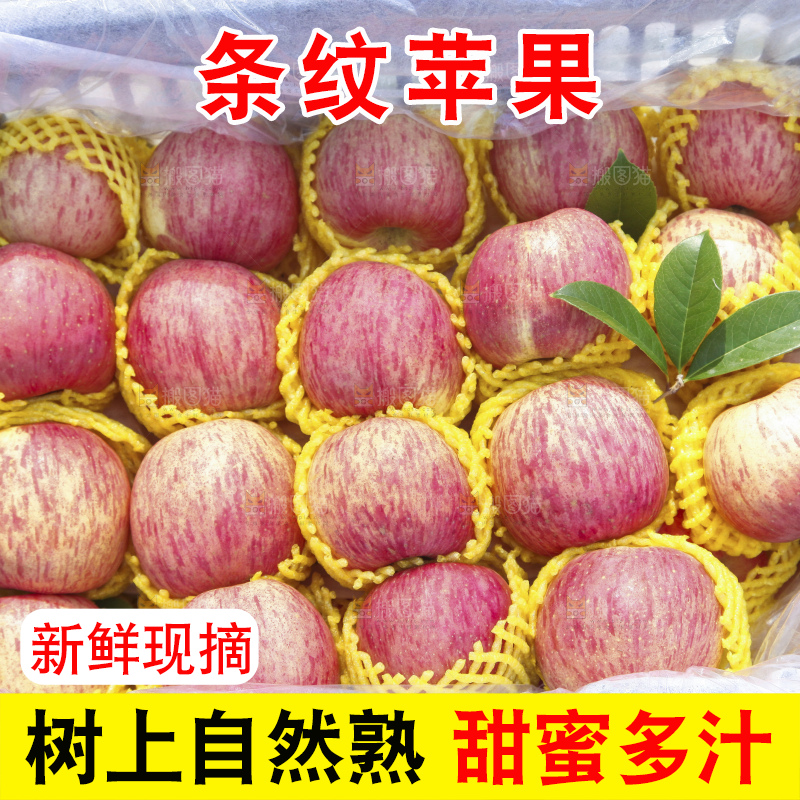 树上的条纹苹果