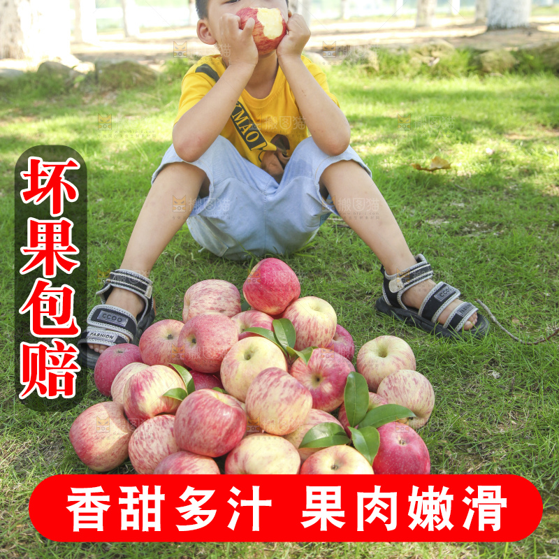 深底上的洛川红富士