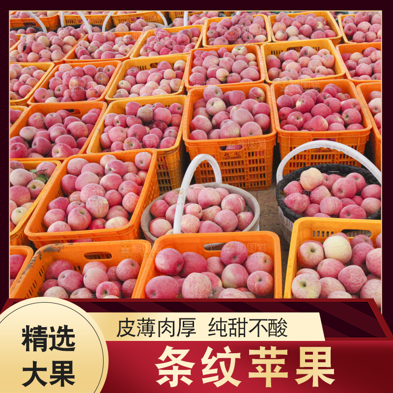 树上的条纹苹果