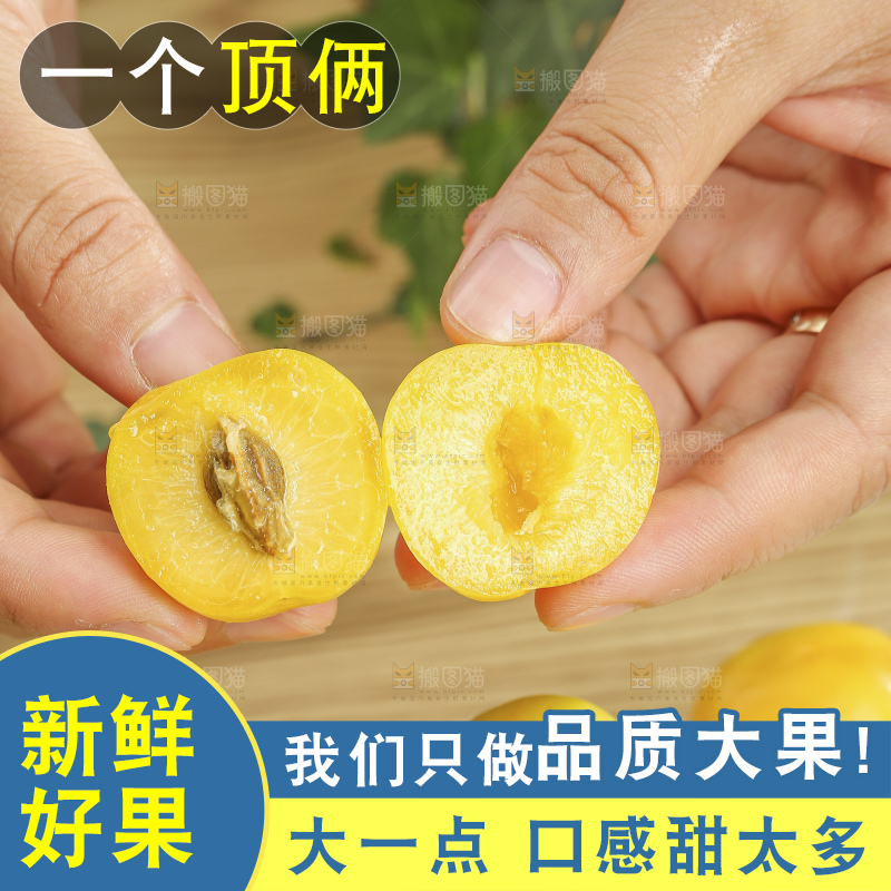 浅底上的小白杏
