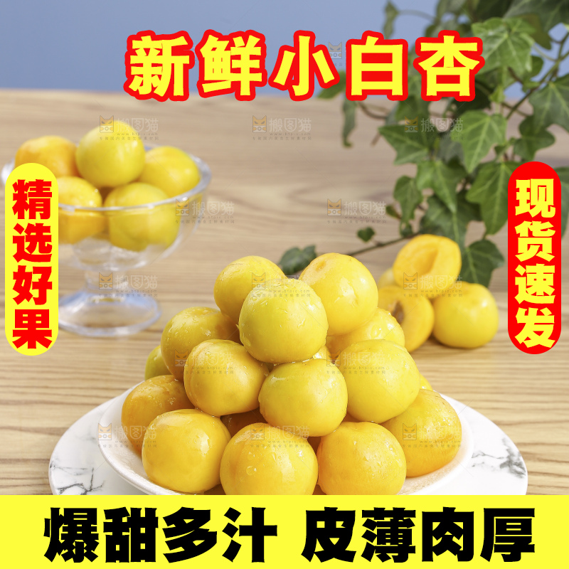 浅底上的小白杏