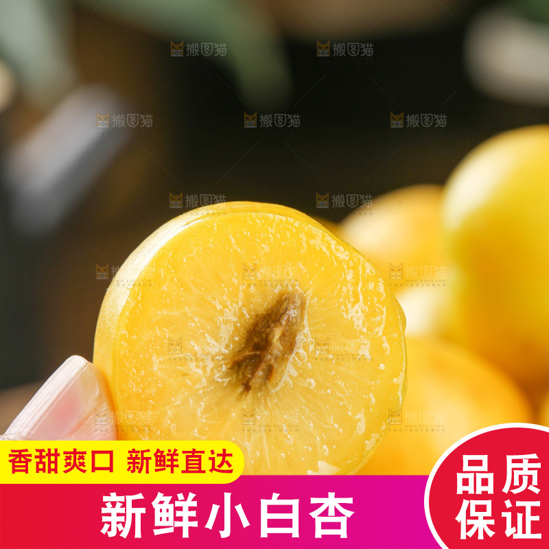 深底上的新鲜小白杏