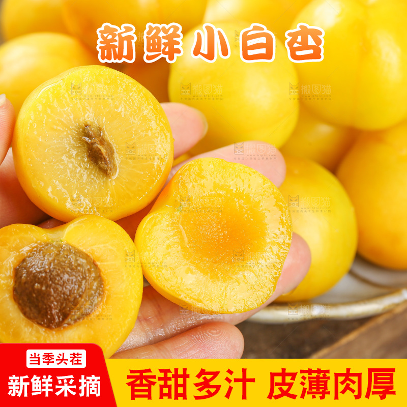 深底上的新鲜小白杏