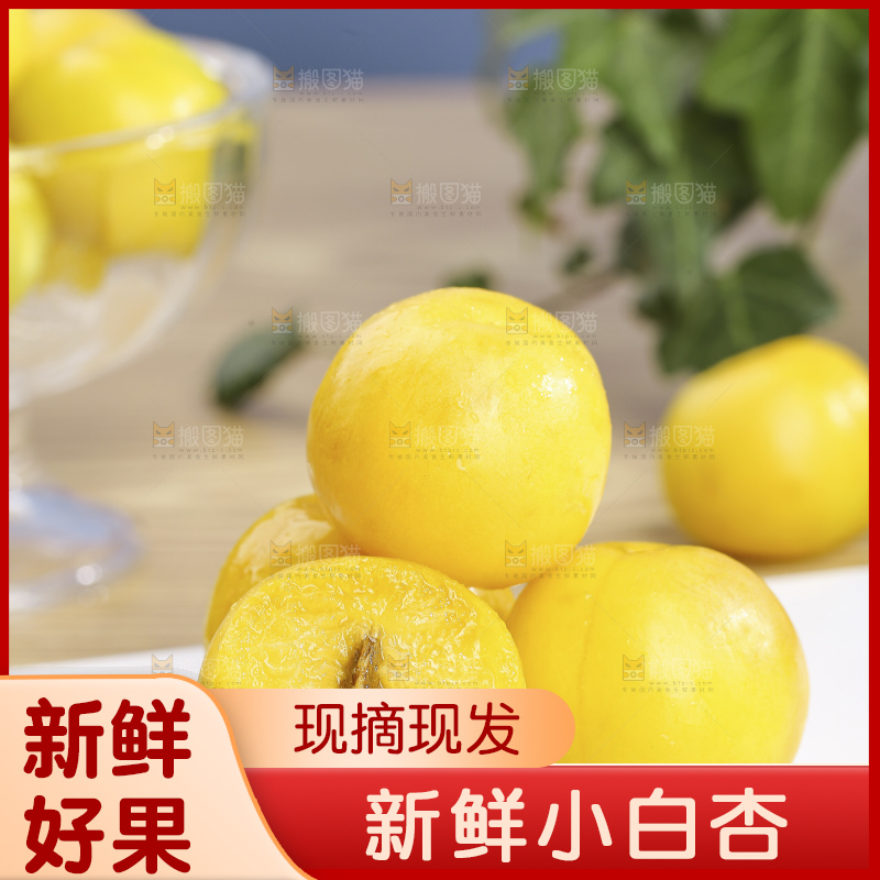 浅底上的小白杏