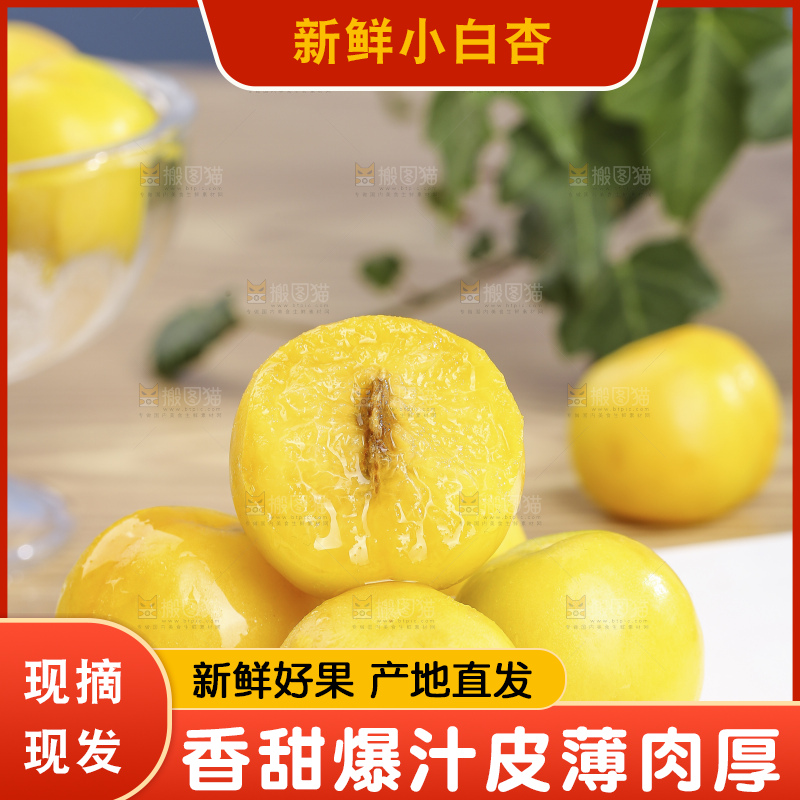 浅底上的小白杏