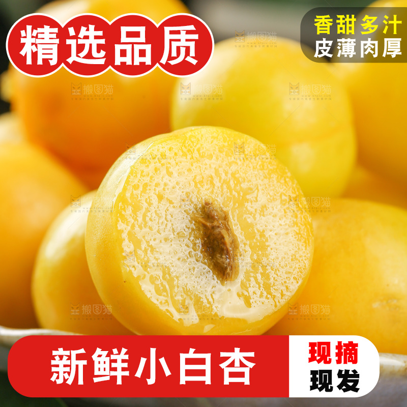 深底上的新鲜小白杏