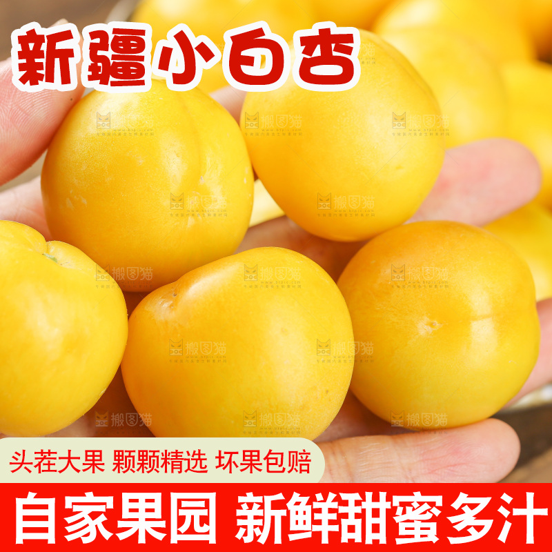 深底上的新鲜小白杏