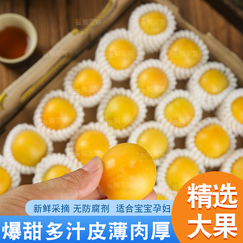 深底上的新鲜小白杏