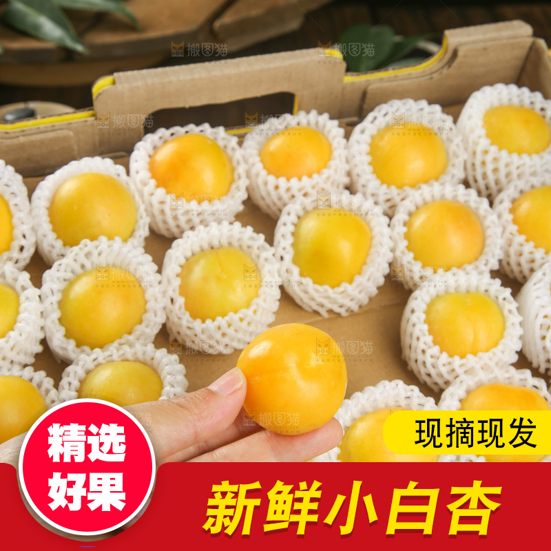 深底上的新鲜小白杏