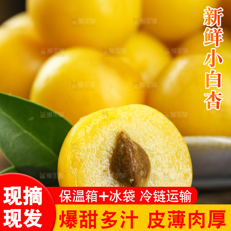深底上的新鲜小白杏