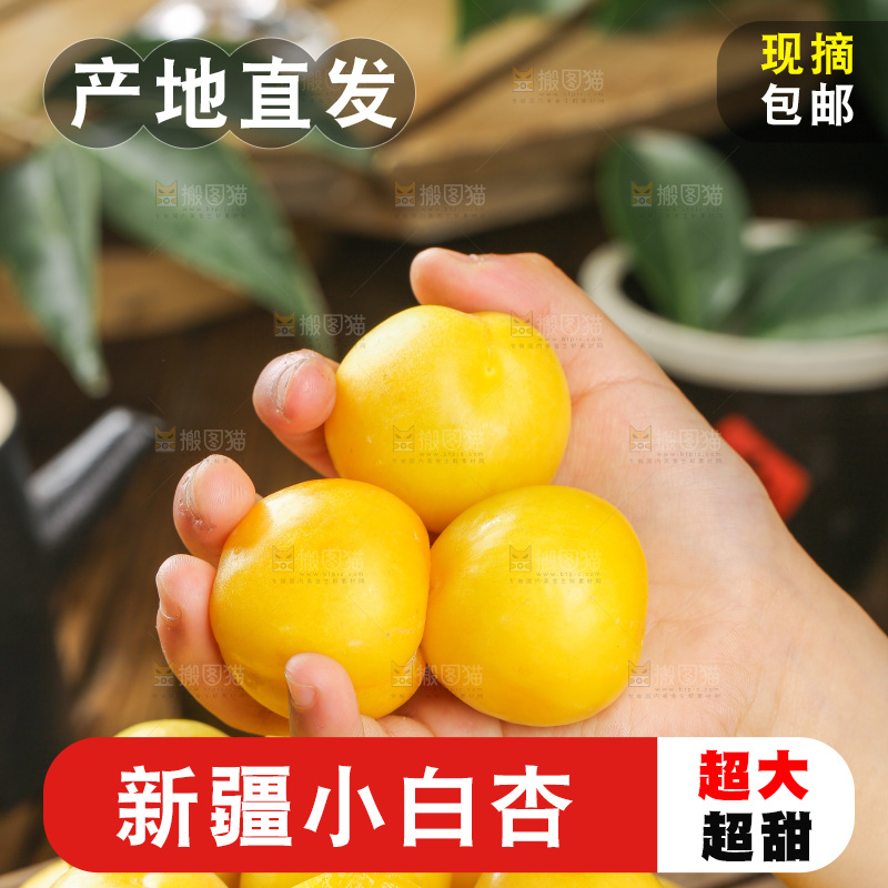 深底上的新鲜小白杏