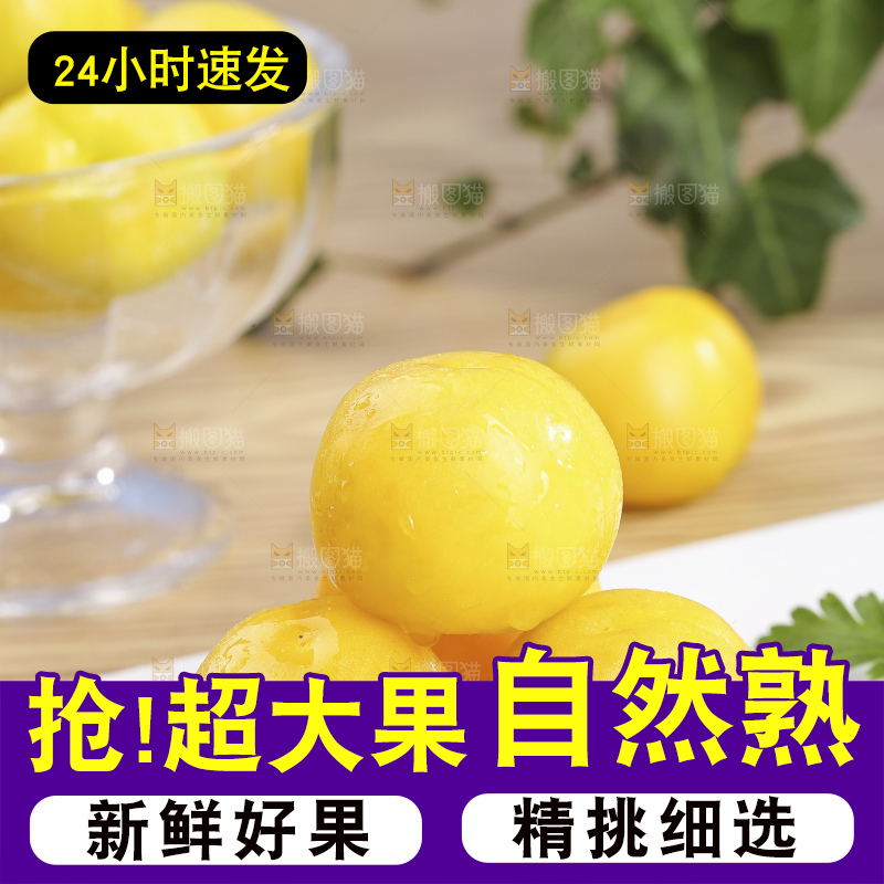 浅底上的小白杏