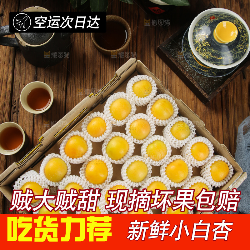 深底上的新鲜小白杏