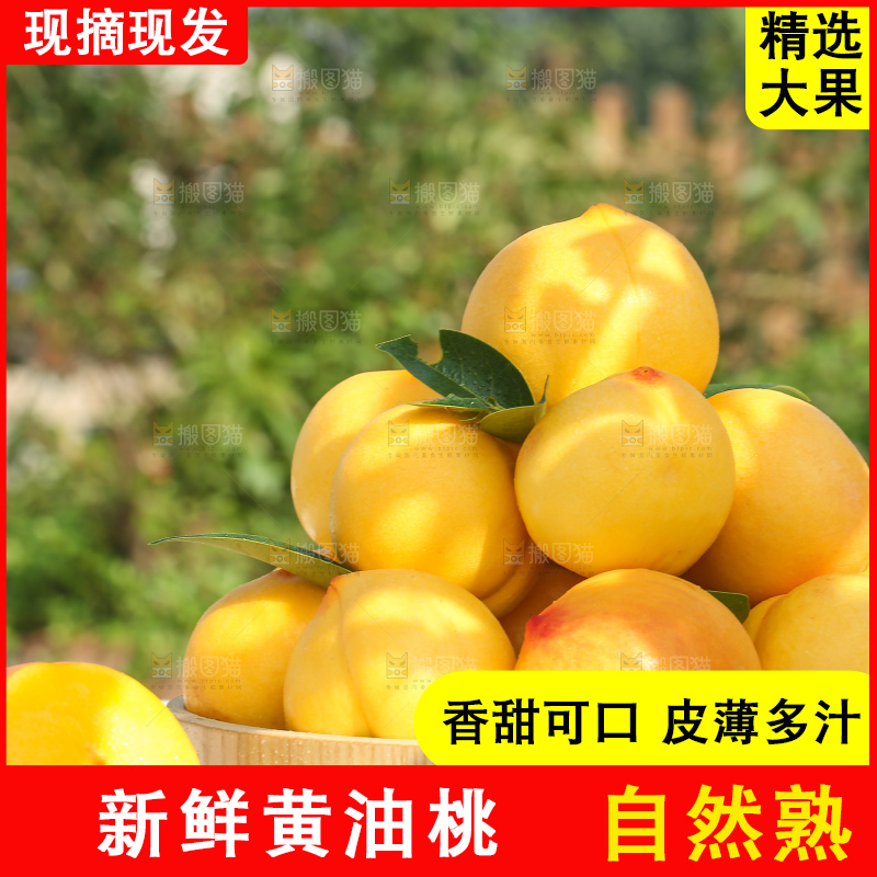 浅底上的黄油桃