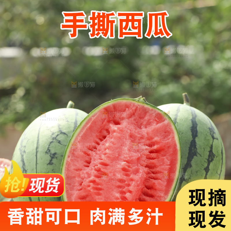 手里拿着红瓤西瓜
