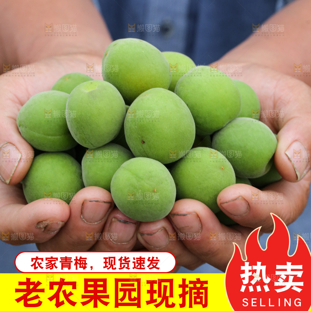 云南青梅主图