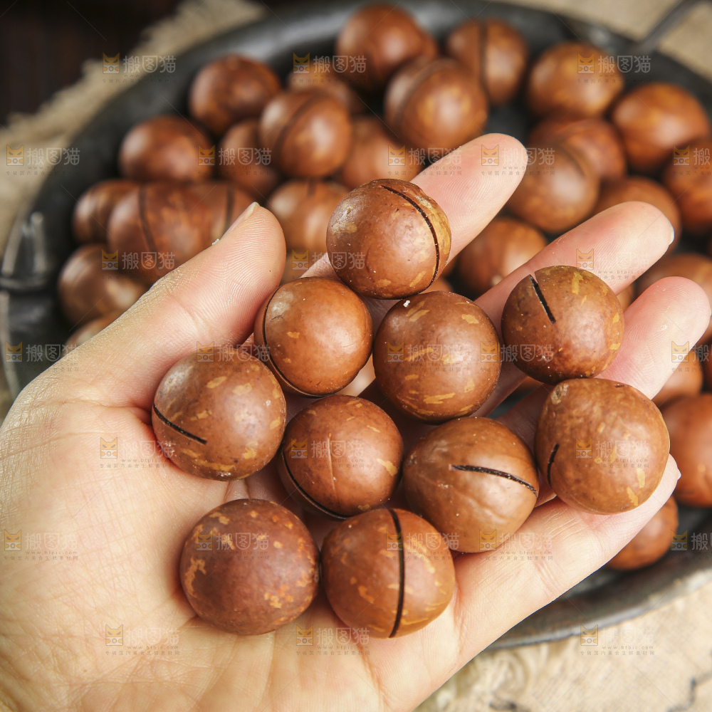 木底上的夏威夷果
