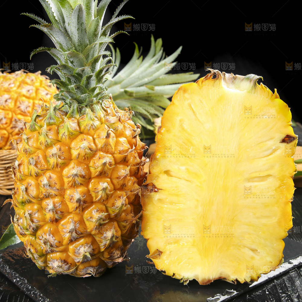 深底上的徐闻菠萝