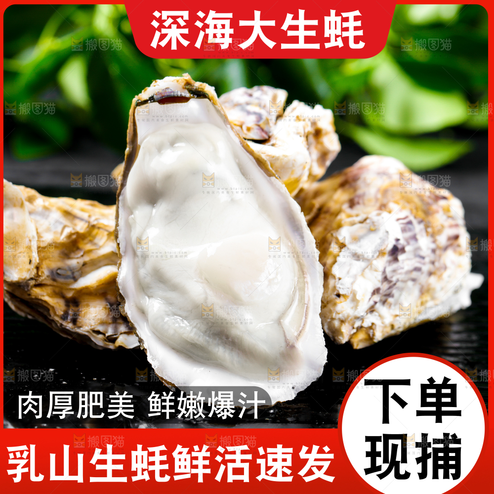深海生蚝主图
