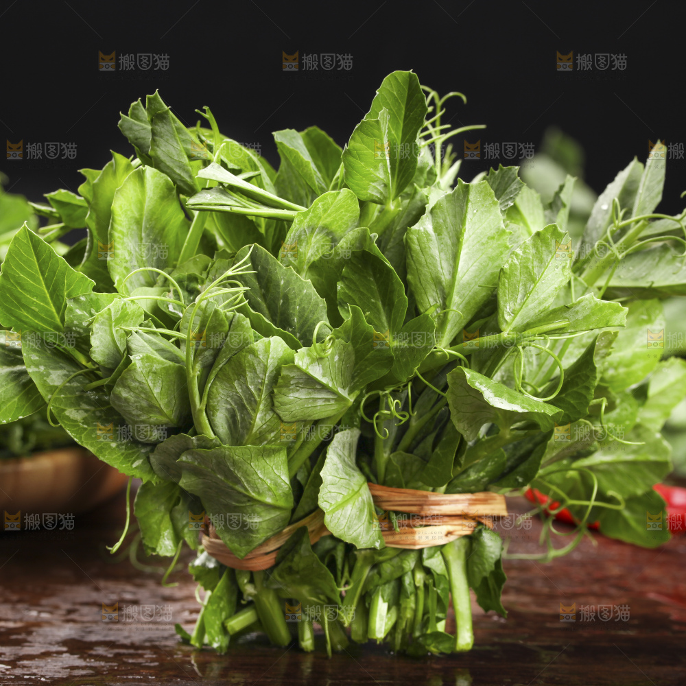 深底上的豌豆苗