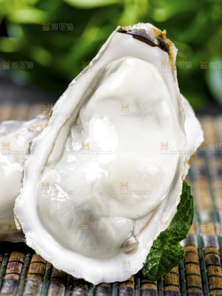 深底上的乳山生蚝