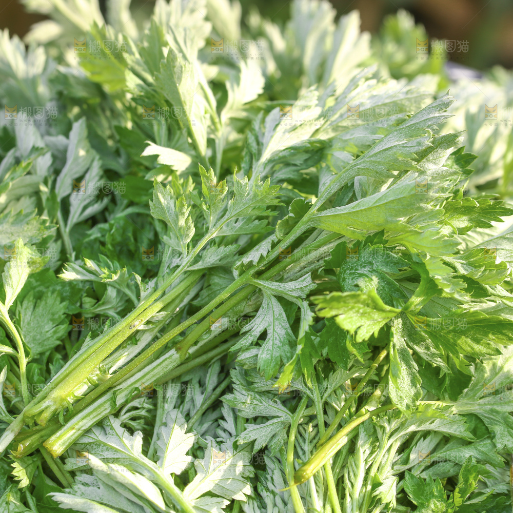 手里拿着新鲜艾草