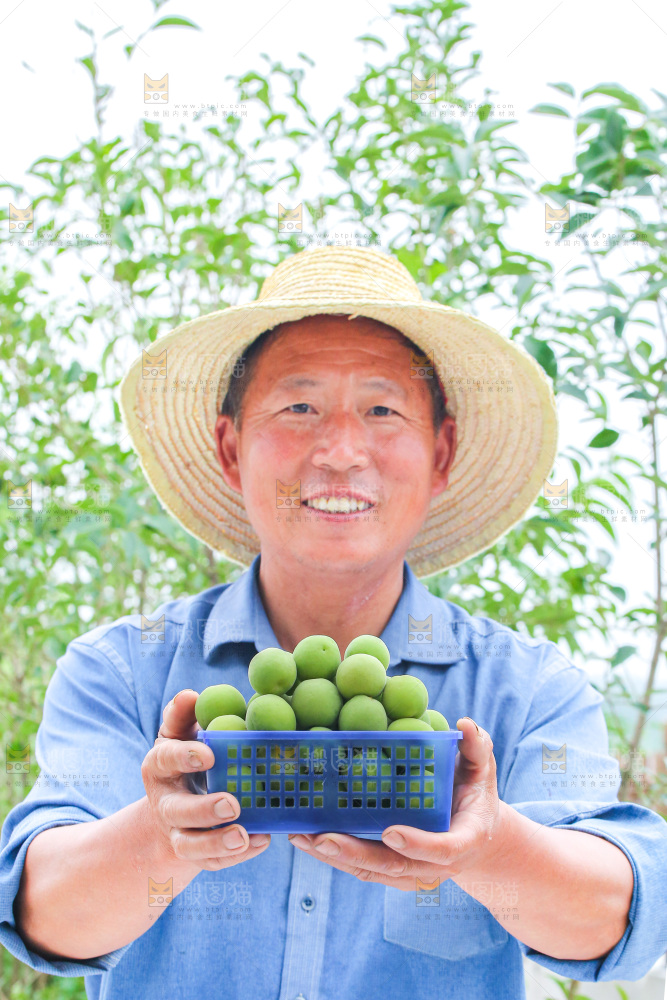 手里拿着新鲜青梅