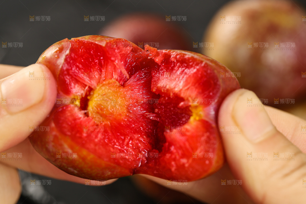 木底上的红肉三华李