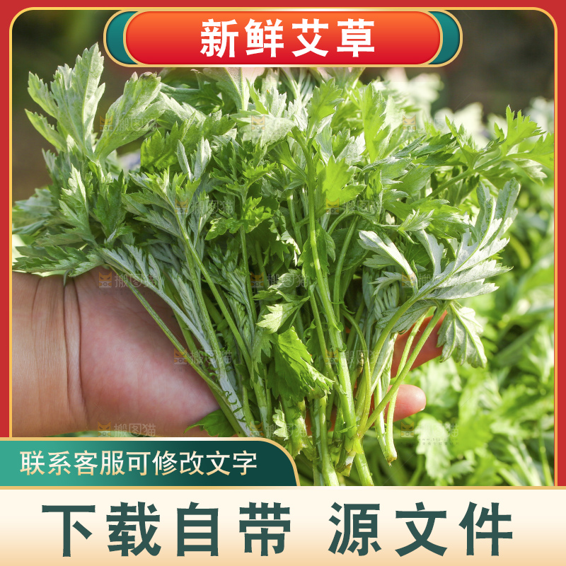 手里拿着新鲜艾草