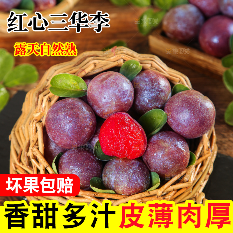 木底上的红肉三华李