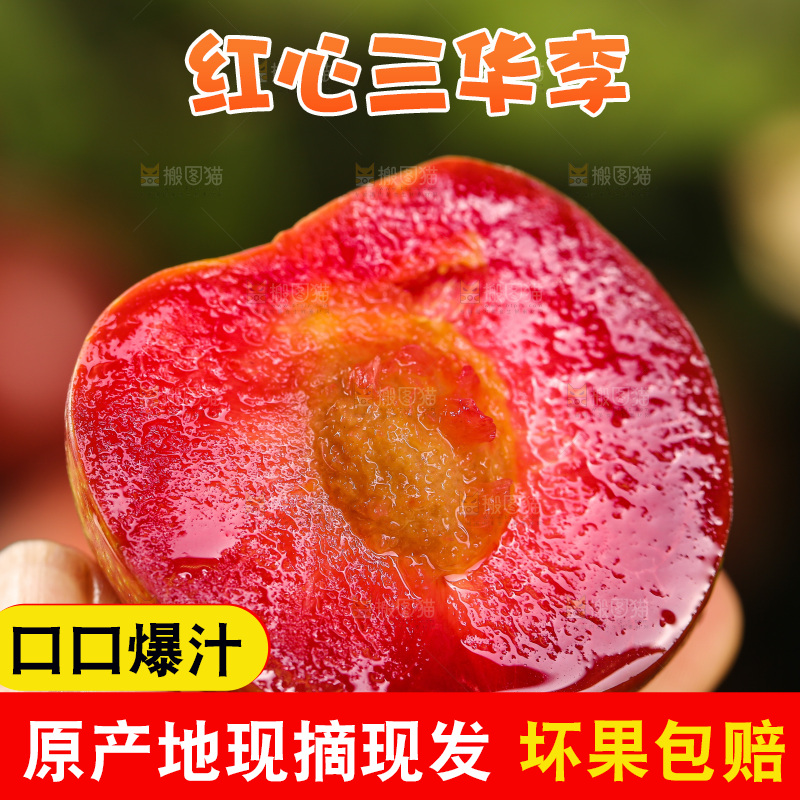 木底上的红肉三华李