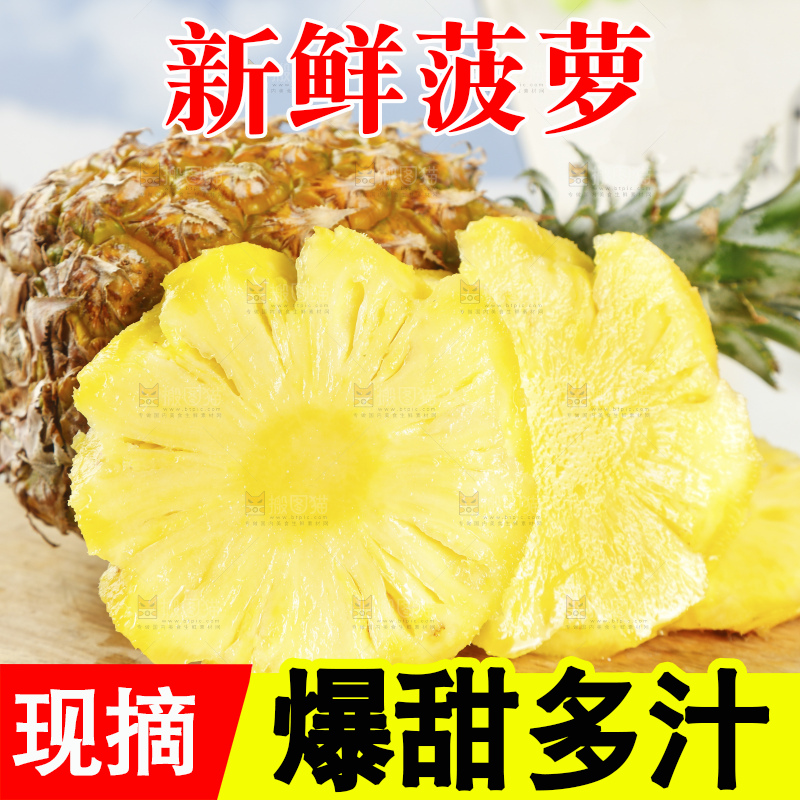 深底上的徐闻菠萝