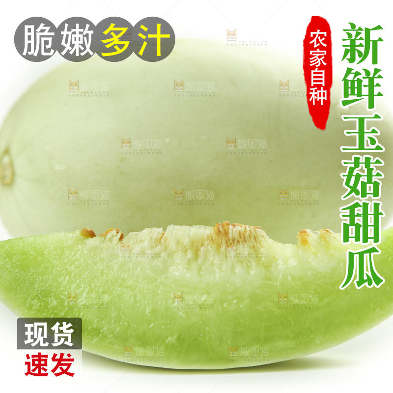 白底上的玉菇甜瓜