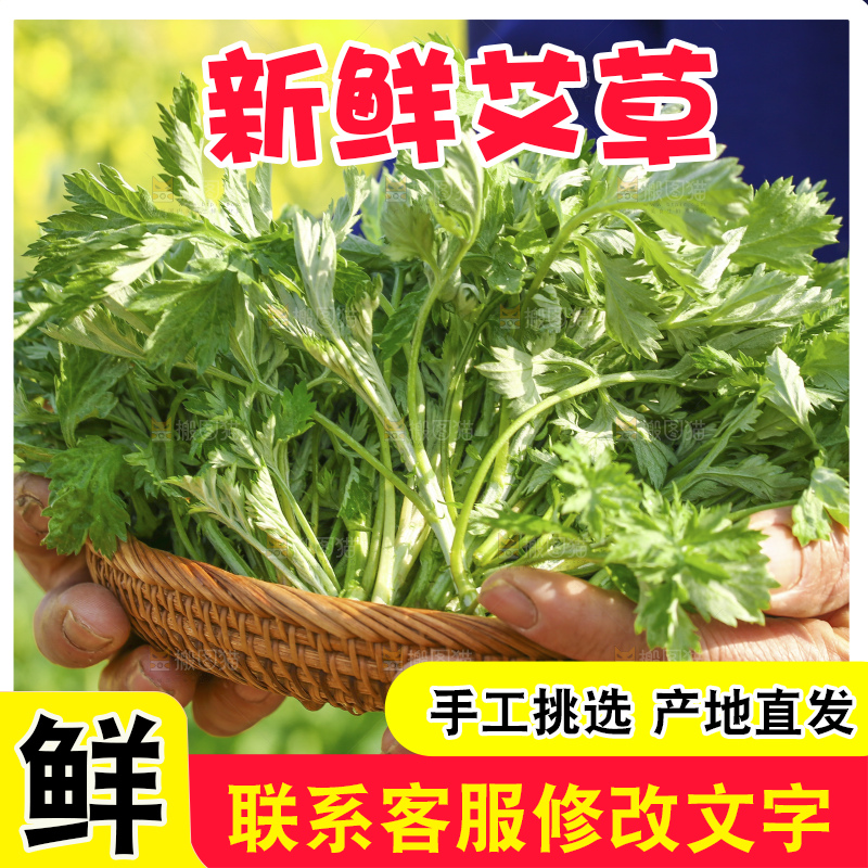 手里拿着新鲜艾草