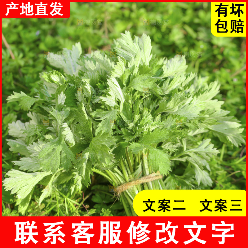 手里拿着新鲜艾草