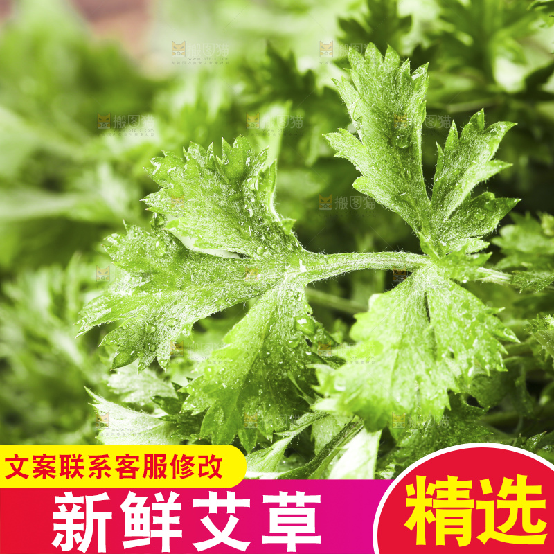 手里拿着新鲜艾草