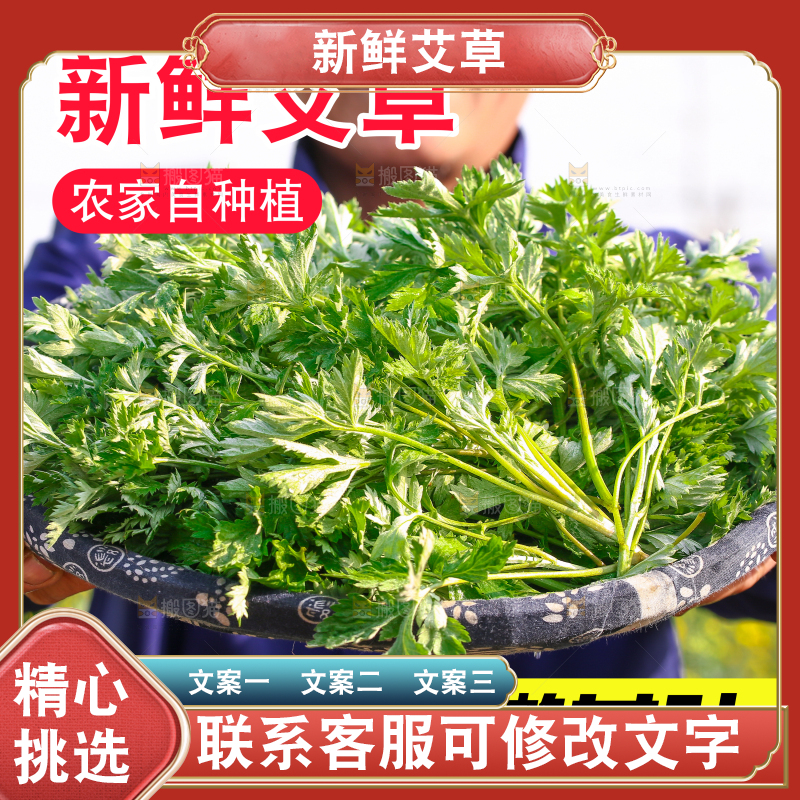 新鲜艾草主图
