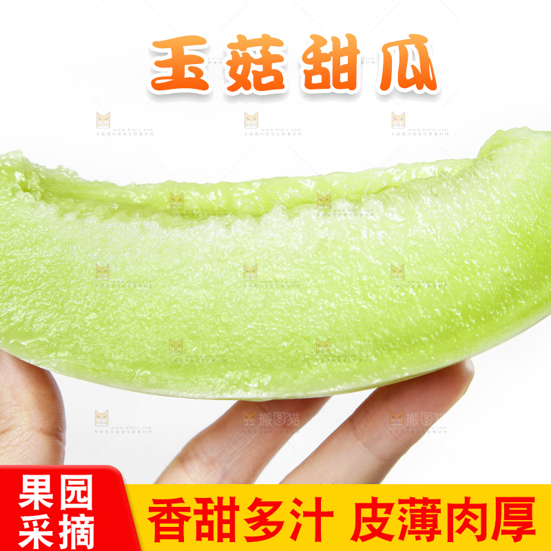 白底上的玉菇甜瓜