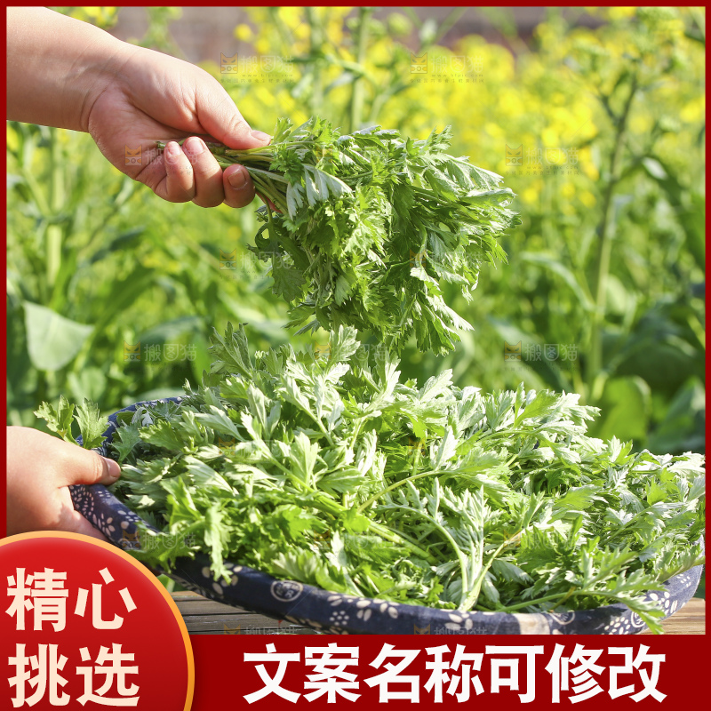 手里拿着新鲜艾草
