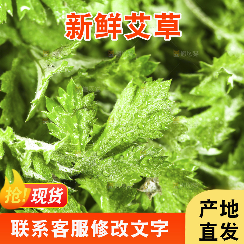 手里拿着新鲜艾草