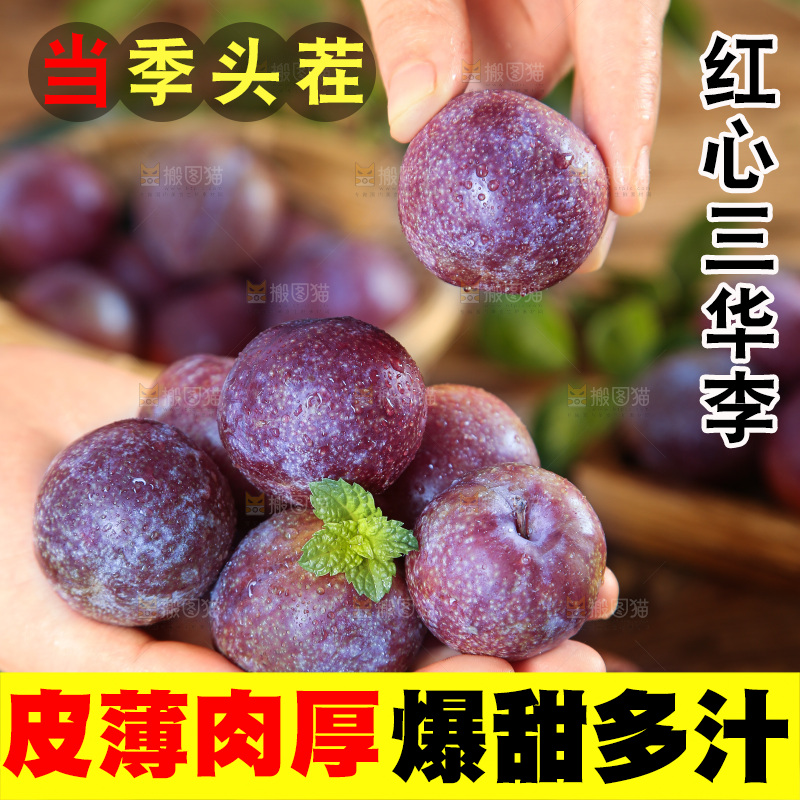 木底上的红肉三华李