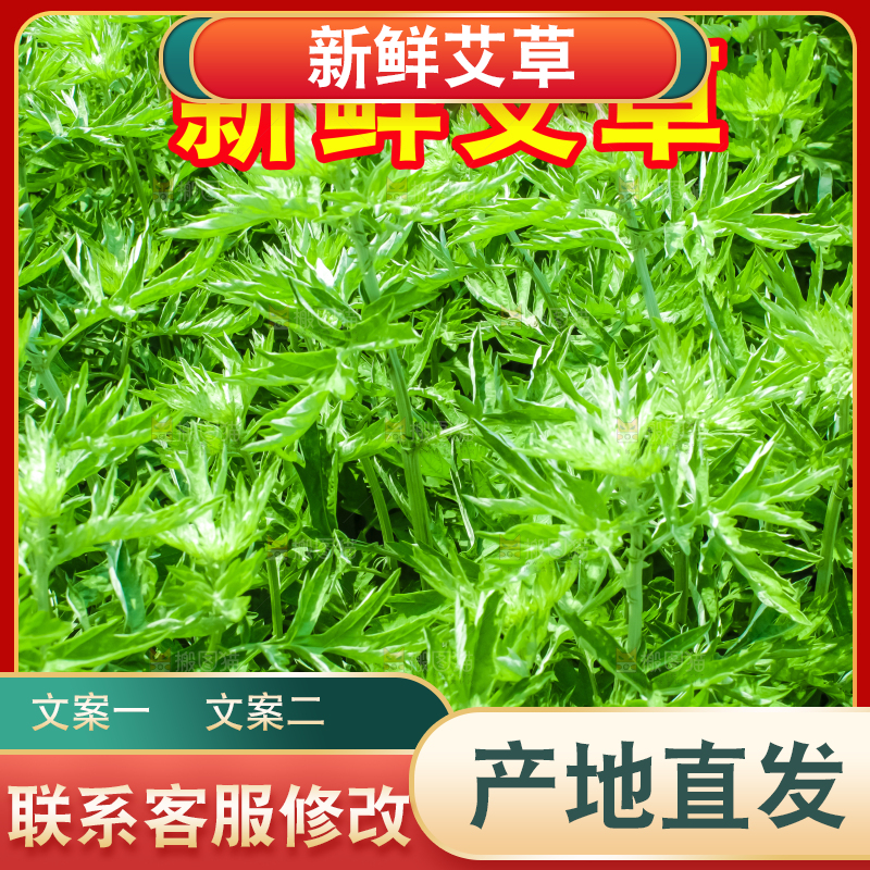新鲜艾草主图