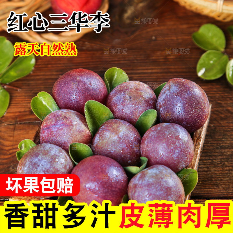 木底上的红肉三华李