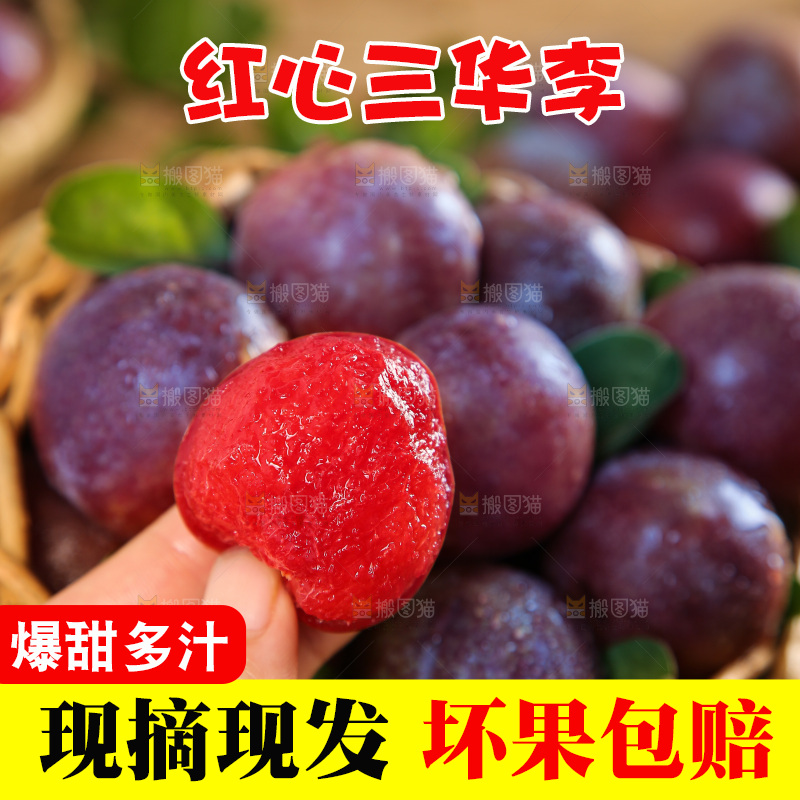 木底上的红肉三华李