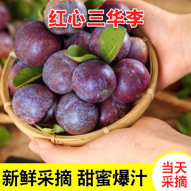木底上的红肉三华李