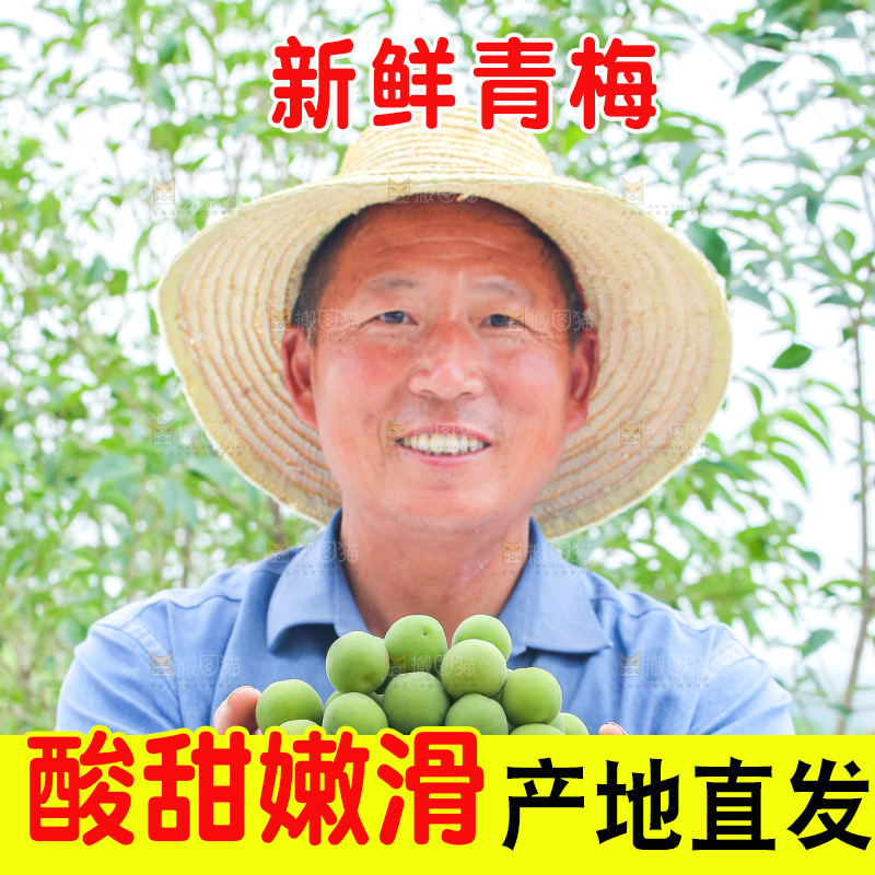 手里拿着新鲜青梅