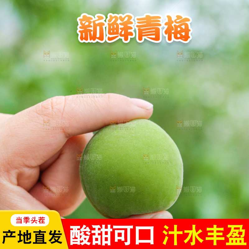 手里拿着新鲜青梅